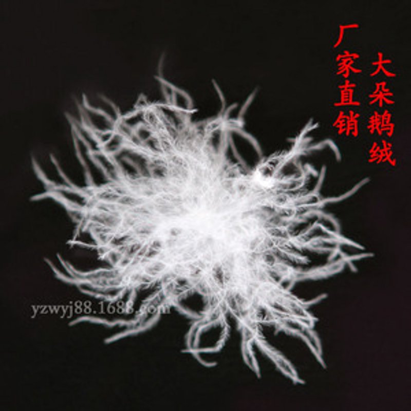 湖北羽绒加工:打造温暖的产业新篇章